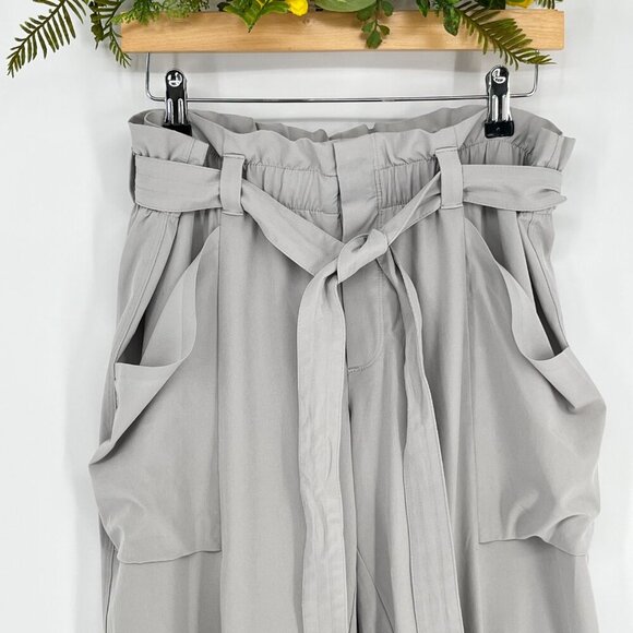 Athleta Skyline II Paper Bag Waist Pants in Light Grey Tan Size 12 Tall - Picture 3 of 7